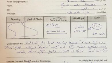 المسار نيوز مراراتٌ في لهاة الإنتاج تعكر مزاج اللون والطعم والنكهة<br>الفريق البرهان : البرتقال لا يؤجل مواسم الطلع والإثمار وهو في انتظار تدخلكم