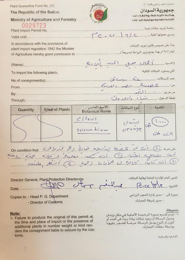 مراراتٌ في لهاة الإنتاج تعكر مزاج اللون والطعم والنكهة<br>الفريق البرهان : البرتقال لا يؤجل مواسم الطلع والإثمار وهو في انتظار تدخلكم 4 المسار نيوز مراراتٌ في لهاة الإنتاج تعكر مزاج اللون والطعم والنكهة<br>الفريق البرهان : البرتقال لا يؤجل مواسم الطلع والإثمار وهو في انتظار تدخلكم