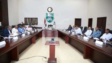 المسار نيوز بداية تنفيذ مشروعات تنموية بغابة السنط لتحويلها لملتقى سياحي تجاري