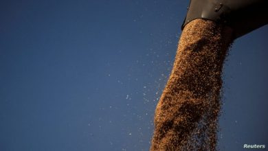 المسار نيوز السودان يترقّب أوّل باخرة من القمح الأوكراني خلال ساعاتٍ