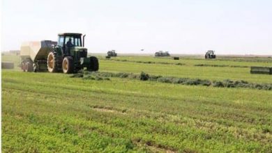 المسار نيوز مزارعون يرفضون قرار وزارة المالية بزيادة رسوم الري