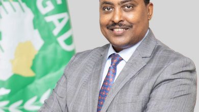 المسار نيوز (الايغاد) تدين الهجوم علي الجيش الجيبوتي وتدعو لمحاكمة المجرمين
