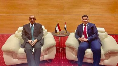 المسار نيوز وزير الخارجية يبحث مع نظيره اليمني تعزيز علاقات البلدين
