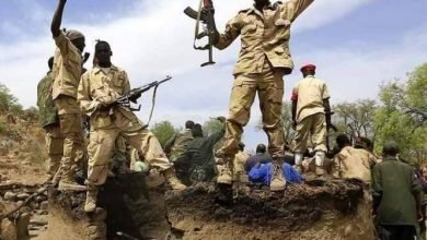 المسار نيوز الدعم السريع يسيطر علي خلافات بجنوب دارفور