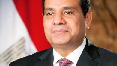 المسار نيوز الرئيس السيسي يوافق على منحة لدراسة الجدوى لربط السكك الحديدية بين مصر والسودان