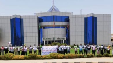 المسار نيوز شركة كنانة ترصد 200 مليون جنيه للمسؤولية المجتمعية