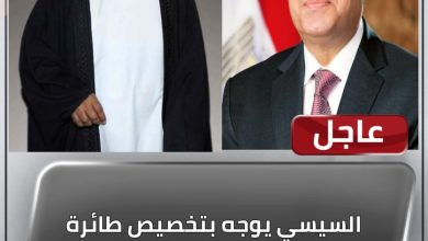 المسار نيوز السيسي يوجه بتخصيص طائرة لنقل الميرغني للخرطوم