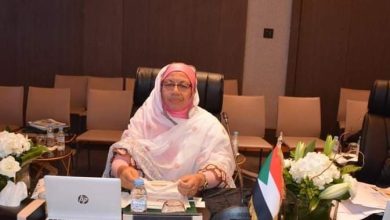المسار نيوز وزيرة الصناعة تلتقي شعبة مصانع الأسمنت