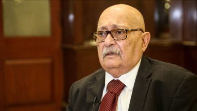 المسار نيوز أديب: دستور المحامين يعرقل الحل السياسي