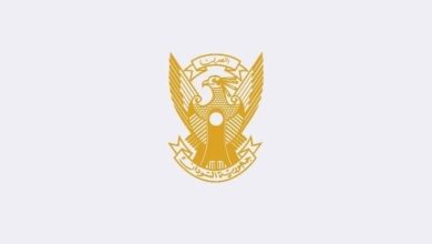 المسار نيوز القوات المسلحة السودانية والمصرية تواصل المناورة السنوية (حارس الجنوب)