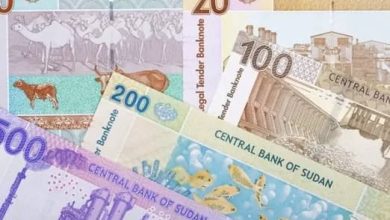 المسار نيوز الجنيه السوداني يتقدم في مؤشر استقرار العملة