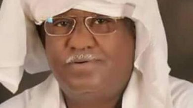المسار نيوز رئيس مجلس حكماء السودان يرحب بمبادرة مصر
