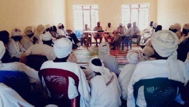 المسار نيوز قوات مشتركة لتأمين الحدود بين السودان وأفريقيا الوسطى