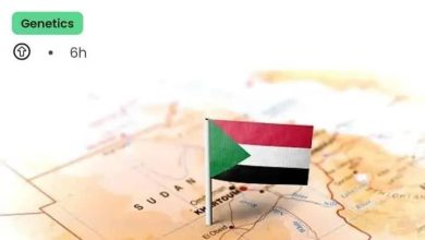 المسار نيوز دراسة علمية تؤكد أن السودان اصل البشرية