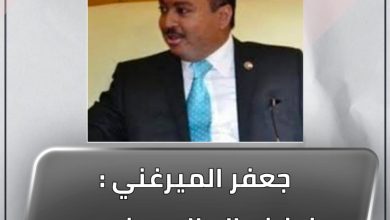 المسار نيوز جعفر الميرغني : نرفض الإطاري وندعم الدعوة المصرية