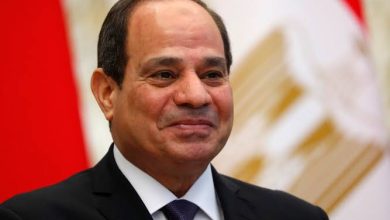 المسار نيوز شكرًا مصر يا اختي بلادي