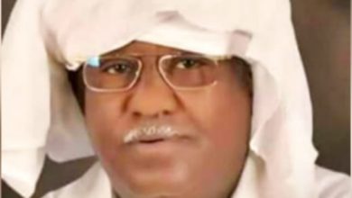 المسار نيوز حاج نور: أيدنا الحوار السوداني السوداني في ورشة القاهرة لأننا أصبحنا غرباء في بلادنا
