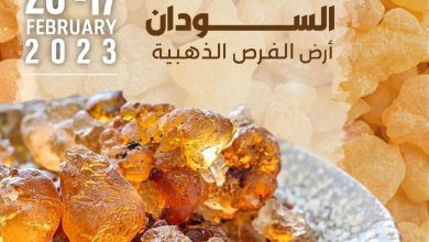 المسار نيوز إنطلاق مهرجان السودان للتسوق الأول بدبي في الشهر الجاري