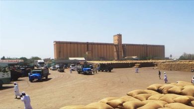 المسار نيوز المزارعون بالقضارف يطالبون البنك الزراعي بامهالهم في سداد السلم