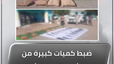 المسار نيوز ضبط كميات كبيرة من الأسلحة والذخائر والمخدرات بالقضارف