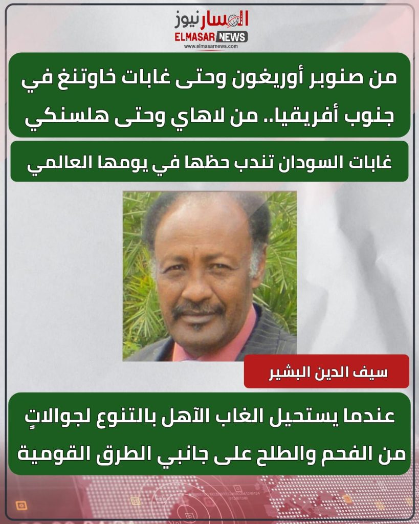 من صنوبر أوريغون وحتى غابات خاوتنغ في جنوب أفريقيا.. من لاهاي وحتى هلسنكي 1 المسار نيوز من صنوبر أوريغون وحتى غابات خاوتنغ في جنوب أفريقيا.. من لاهاي وحتى هلسنكي