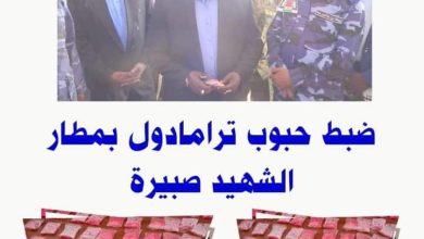 المسار نيوز السلطات بمطار الشهيد صبيرة بالجنينة تضبط كميات من المخدرات