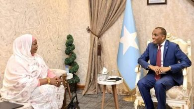 المسار نيوز وزيرة الإستثمار تبحث مع رئيس الوزراء الصومالي العلاقات الثنائية