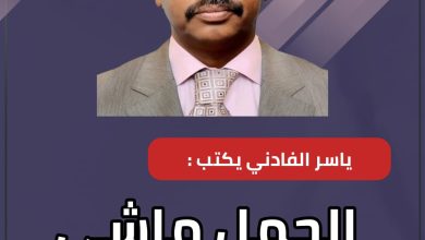 المسار نيوز ياسر الفادني يكتب : الجمل ماشي والكلاب تنبح !