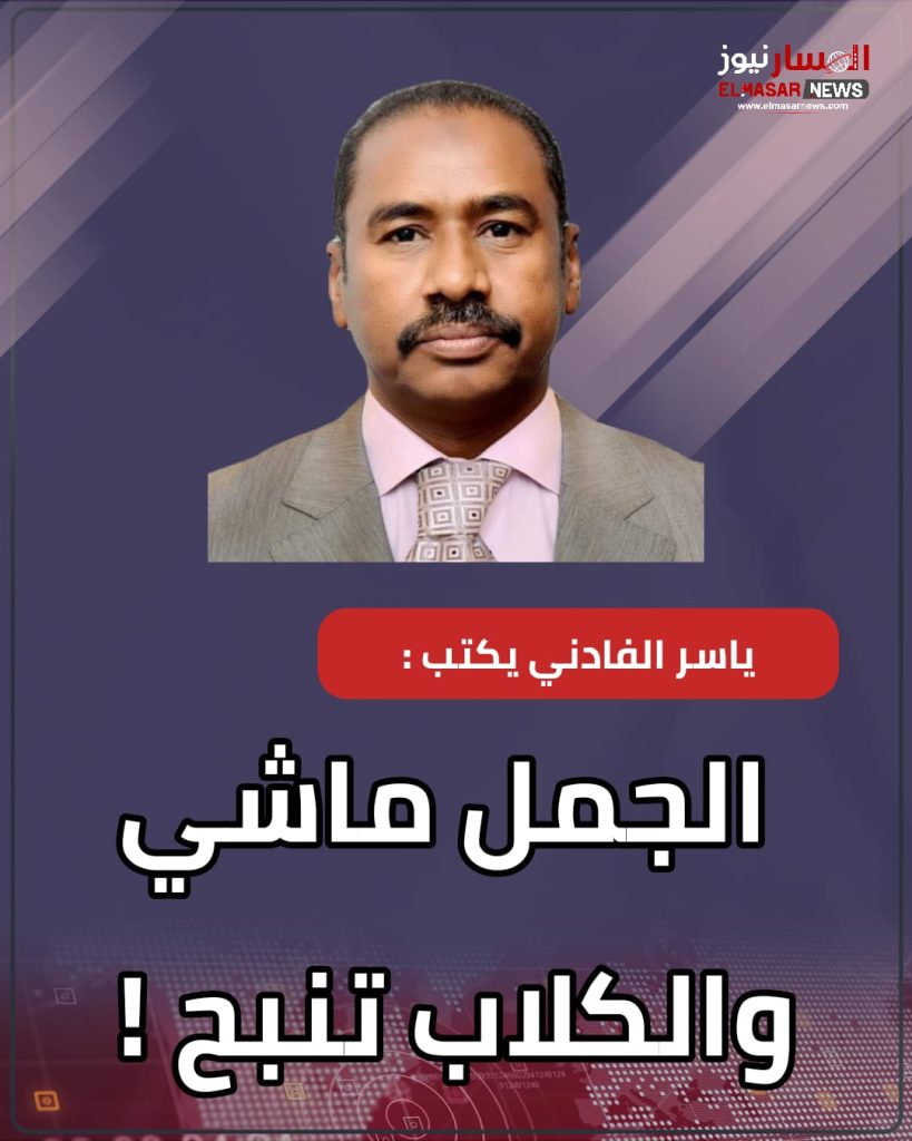 ياسر الفادني يكتب : الجمل ماشي والكلاب تنبح ! 1 المسار نيوز ياسر الفادني يكتب : الجمل ماشي والكلاب تنبح !
