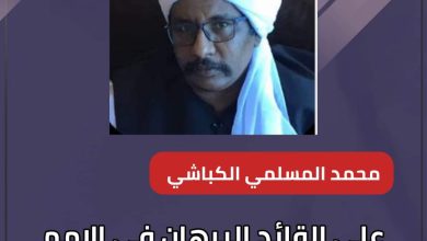 المسار نيوز علي القائد البرهان في الامم المتحدة المطالبة بتصنيف التمرد وقحت منظمات ارهابية