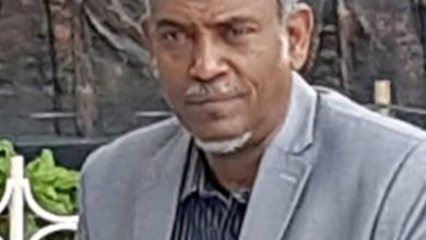 المسار نيوز أمين حسن عمر يكتب ..شهادة شريك..