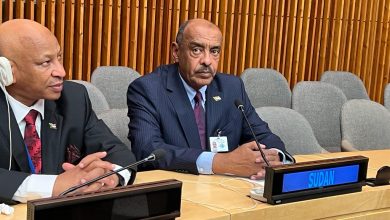 المسار نيوز السيد وزير الخارجية علي الصادق يخاطب الاجتماع الوزاري لمنظمة التعاون الاسلامي