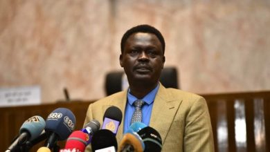 المسار نيوز مناوي يعود الي بورتسودان بعد رحلة خارجية لعدة دول