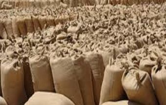 ترتيبات لبدء الموسم التسويقي الجديد لسوق محصولات الأبيض 1 المسار نيوز ترتيبات لبدء الموسم التسويقي الجديد لسوق محصولات الأبيض