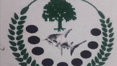 المسار نيوز مجلس دينكا أبيي يرحب ببيان مجلس الأمن حول المنطقة