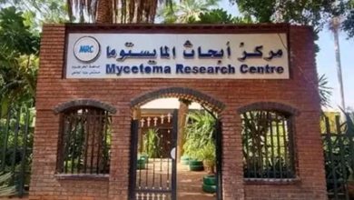 المسار نيوز تأسيس مركز للمايستوما في ولاية سنار